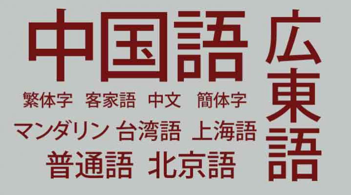 中学受験と並行し、中国語や英語を幼児・小学生が勉強。マスターは厳しい？